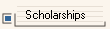 Scholarships