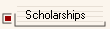 Scholarships